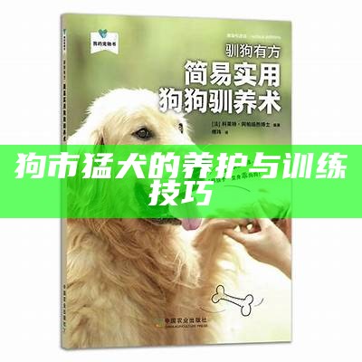 狗市猛犬的养护与训练技巧