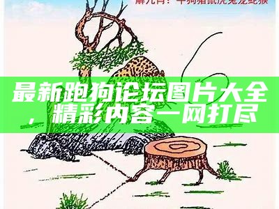 最新跑狗论坛图片大全，精彩内容一网打尽