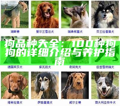 狗品种大全：100种狗狗的详细介绍与养护指南