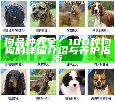 狗品种大全：100种狗狗的详细介绍与养护指南