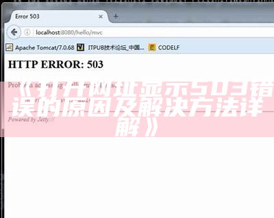 《打开网址显示503错误的原因及解决方法详解》