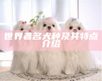 世界著名犬种及其特点介绍