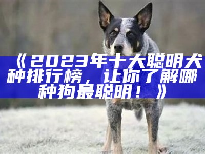 《2023年十大聪明犬种排行榜，让你了解哪种狗最聪明！》