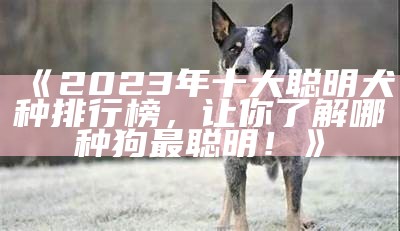 《2023年十大聪明犬种排行榜，让你了解哪种狗最聪明！》