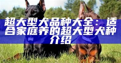 超大型犬品种大全：适合家庭养的超大型犬种介绍