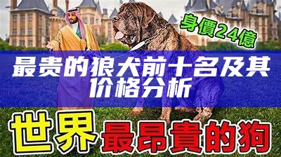 最贵的狼犬前十名及其价格分析