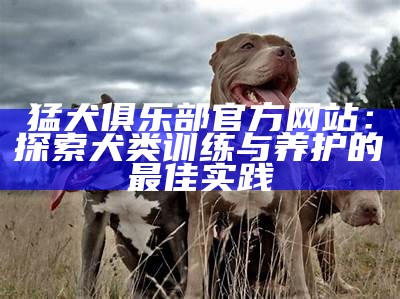 猛犬俱乐部官方网站：探索犬类训练与养护的最佳实践