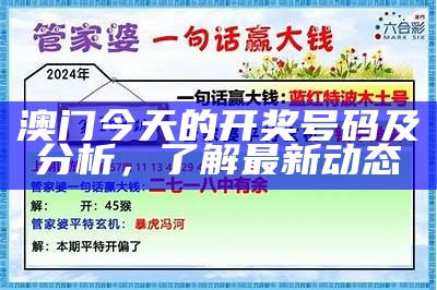 大众网新澳今晚开奖信息解析与预测