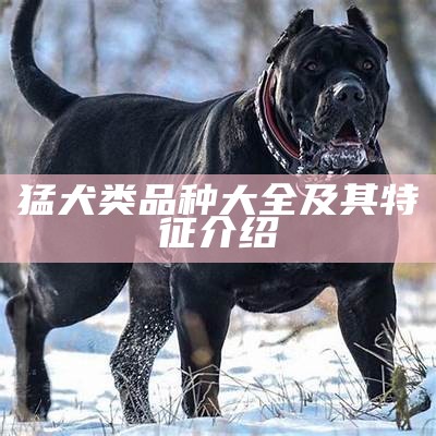 猛犬狺狺：探讨犬类的本能与行为特征